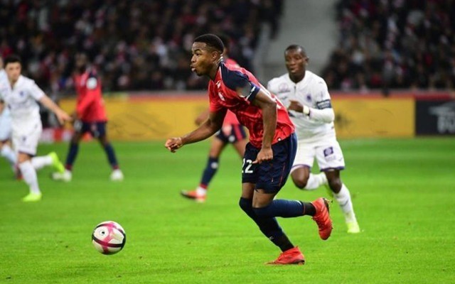 即将上演的 即将上演的